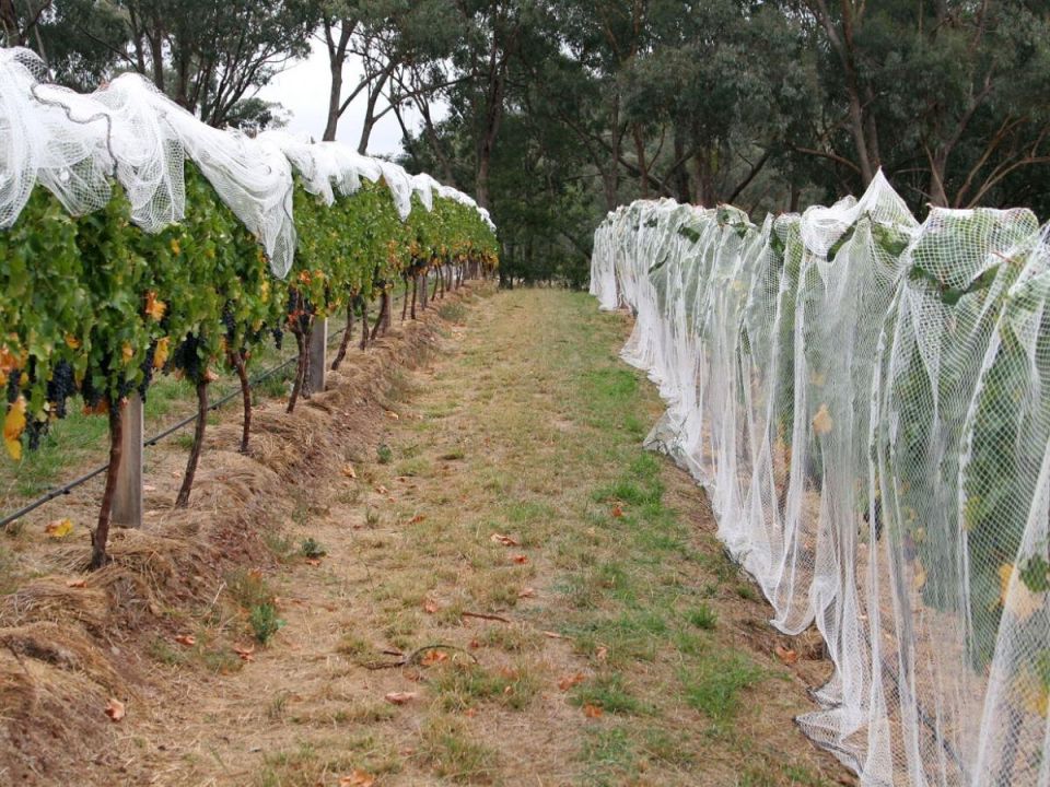 ��� ��������� ������ ��������, ����� �� �� ����� � �� �����