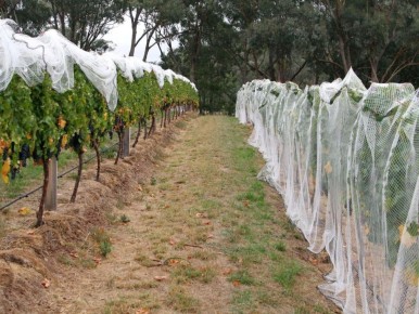 ��� ��������� ������ ��������, ����� �� �� ����� � �� �����