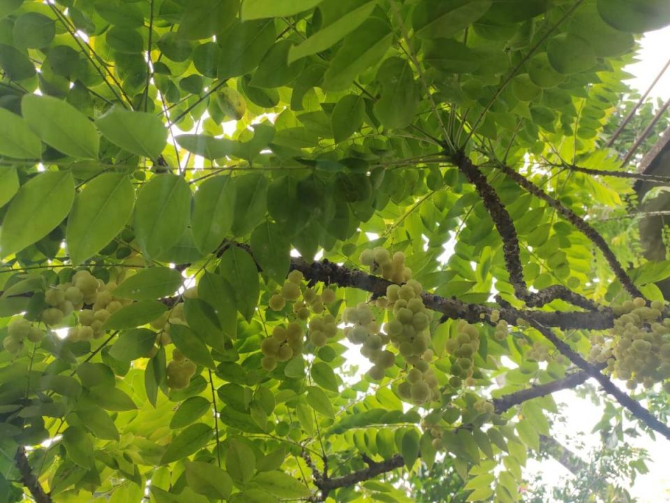 ��� �������� ��������� �� ��������� ����: ������ ��� ���������� ���������