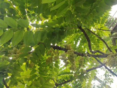 ��� �������� ��������� �� ��������� ����: ������ ��� ���������� ���������