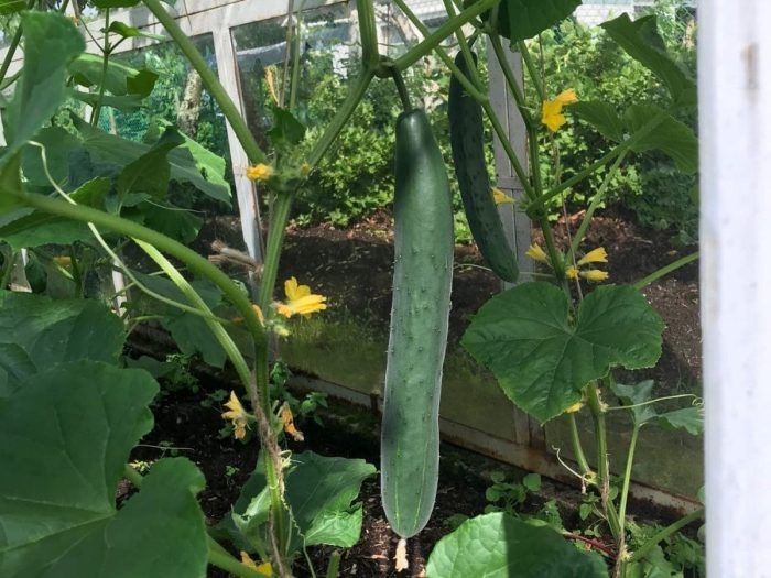 ������ ����� ����: ��� �������� ��������� ������ � �������� � �� �������� ������