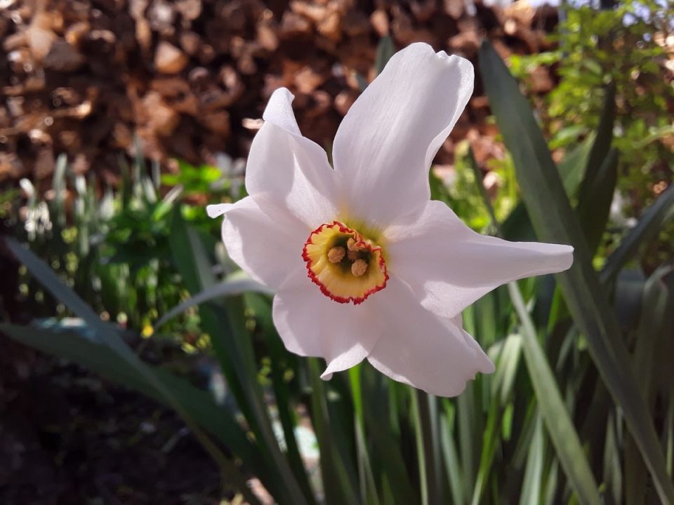 ����������� ����� ����: ����� ������� ��������, ������� ����� ���������