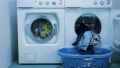 Преимущества отдельных сушилок перед комбинированными стиральными машинами
