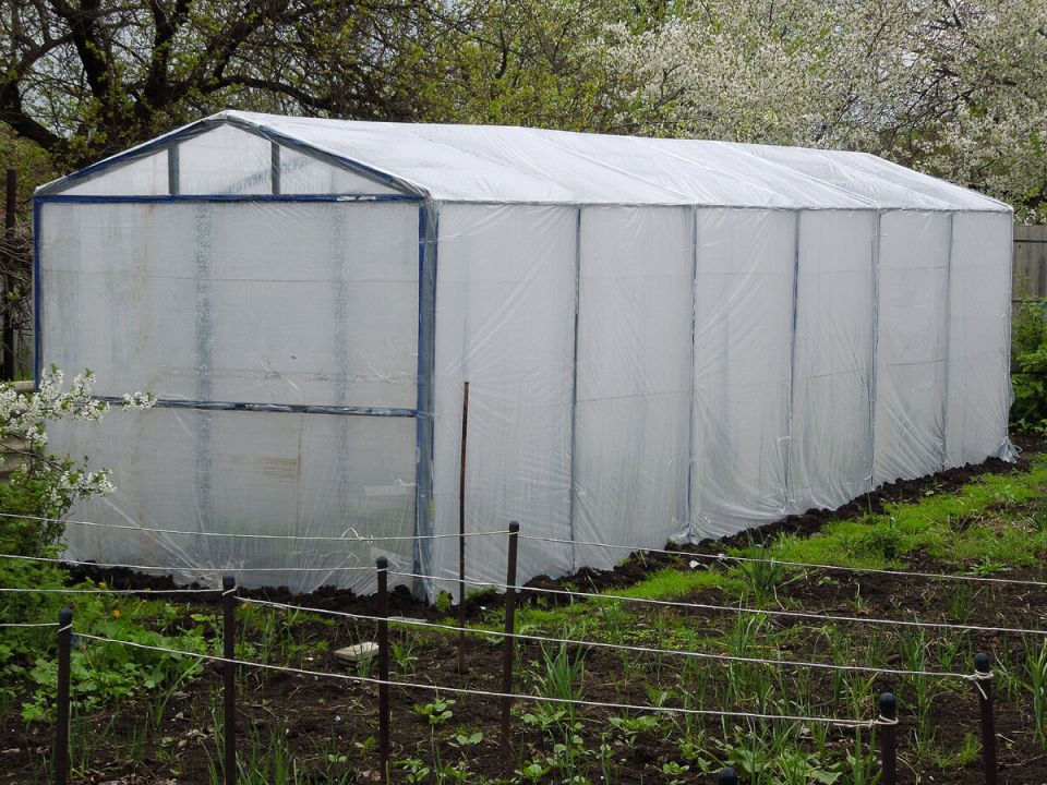 ����������� ������� ��������������� �������: ��� ���� ������� �����