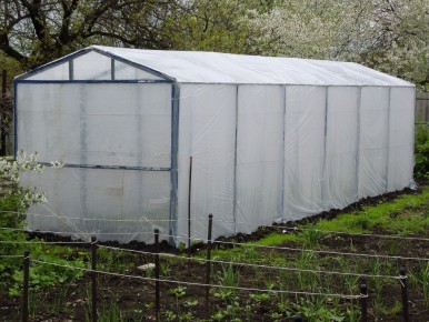 Эффективные способы обеззараживания теплицы: три вида дымовых шашек