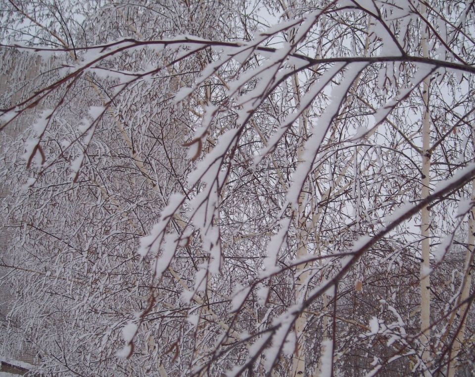 ���� �� ������: ��� �������� ��� �� ��������������� ���������