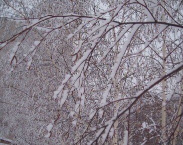 ���� �� ������: ��� �������� ��� �� ��������������� ���������