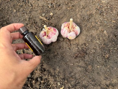 ��� �������� �������� ������� ��������� �������� ������: ������� �������� �������