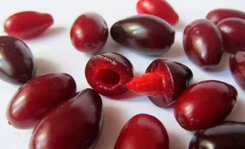 �����: 5 ����������� ������ � �����, ������� ���������� ���� ����� � ��������