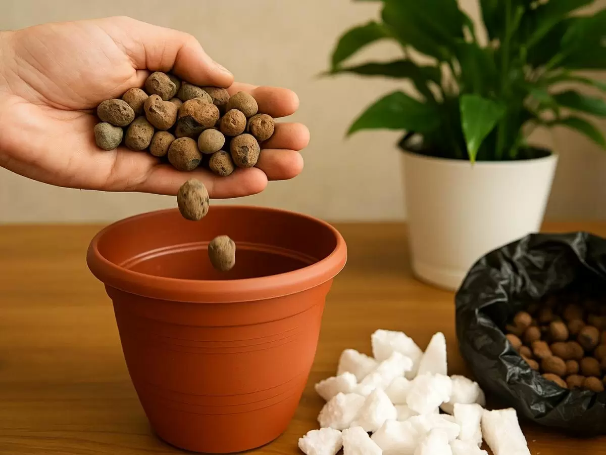 Дренаж нового поколения: как нестандартные материалы могут спасти растения