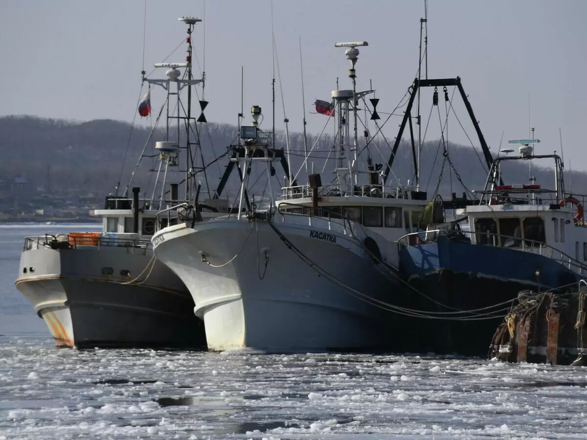 Рынок труда рыбалки: зарплаты растут, а спрос на кадры увеличивается