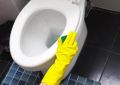 Эффективная домашняя смесь для удаления налета с унитаза