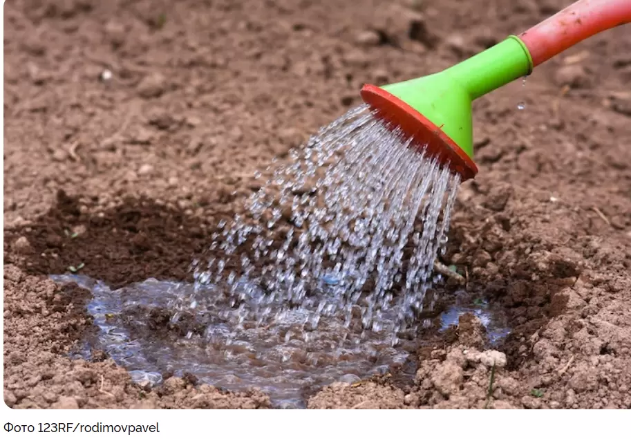 Зимняя подготовка почвы: как биопрепараты вернут ей здоровье