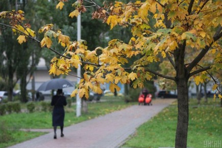 ������, ������� �� ����� ������ � ����: ������ ���������