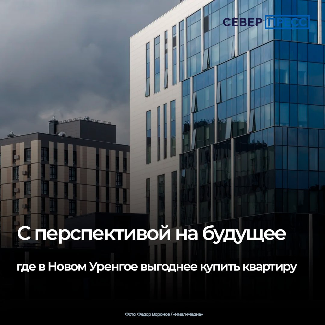 Выбирая жилье в Новом Уренгое, покупатели предпочитают квартиры в шаговой доступности от социальных объектов: детских садов, школ и магазинов