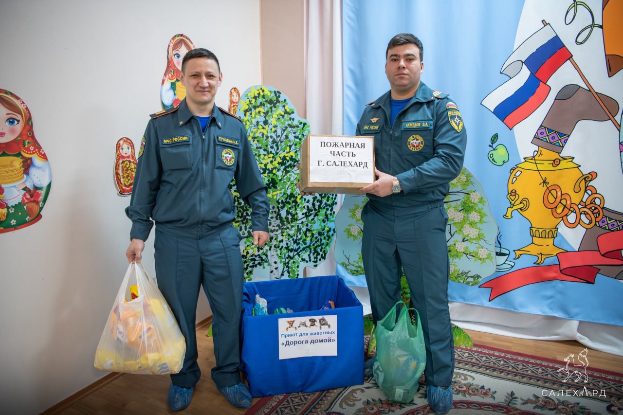 Маленькие волонтеры: как дошколята накормили хвостатых Маленькие волонтеры: как дошколята накормили хвостатых