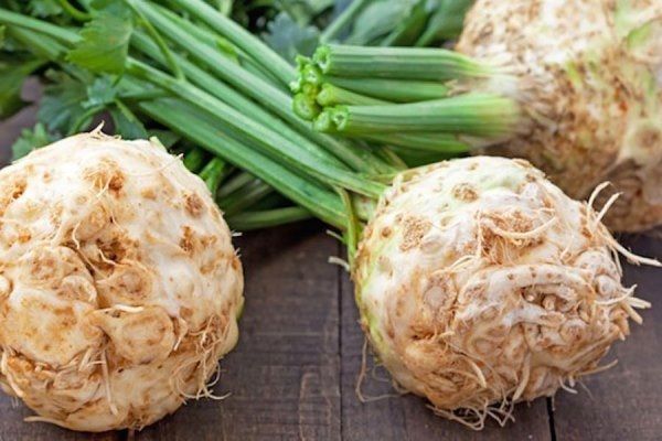 ������� ������: ��� ��������� ��������� ����� �������