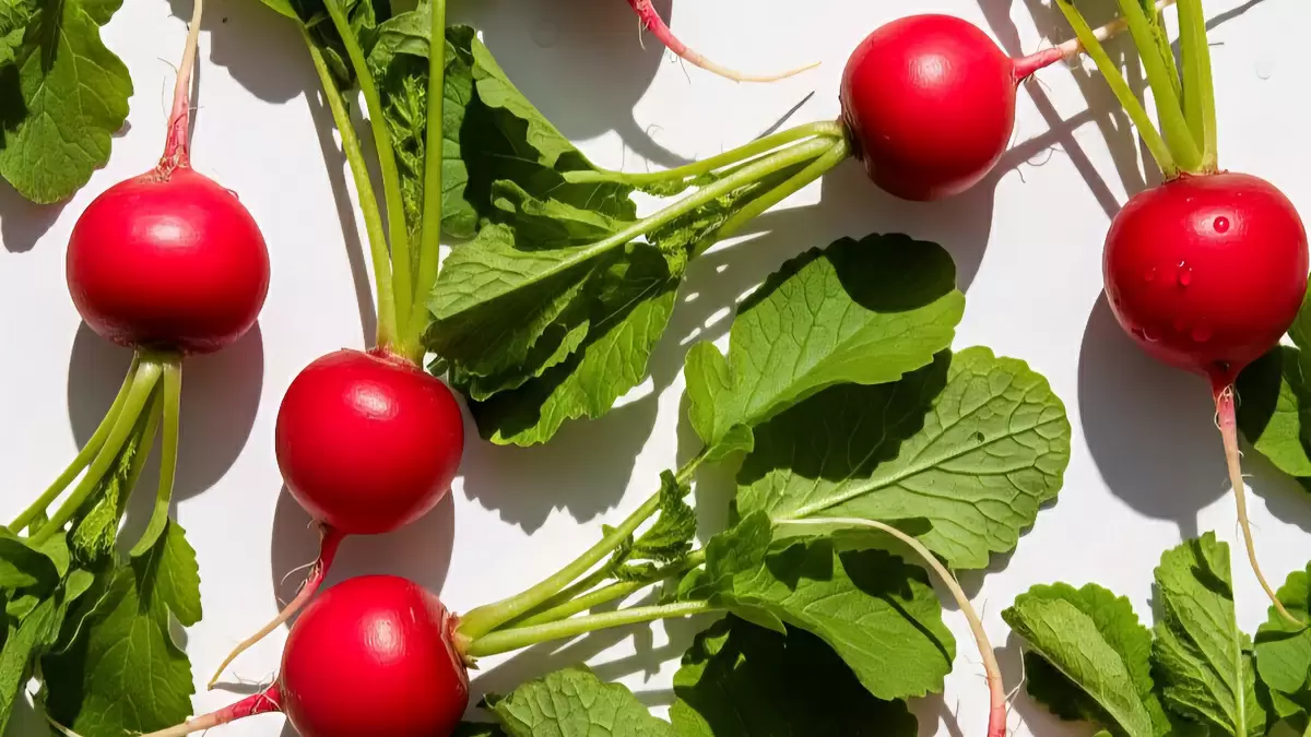 Секреты правильного питания: как улучшить здоровье и продлить жизнь