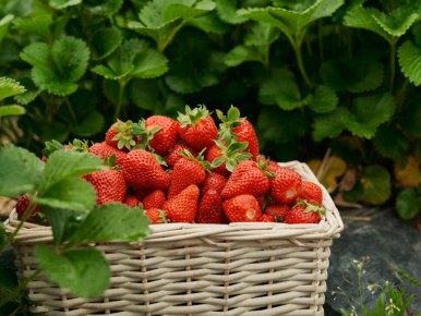 ���������� ������: ��� ��������, � ��� ������ ������