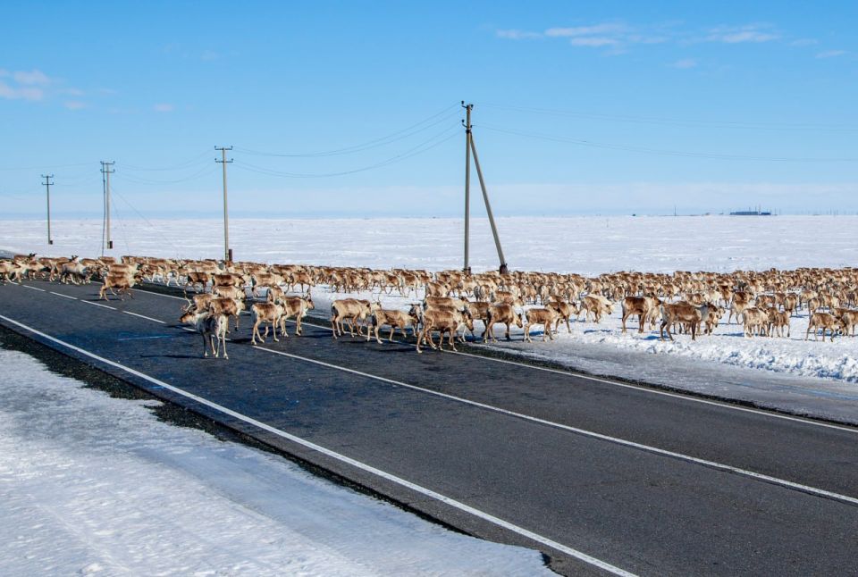 ����� �� ������ � �� �����, � ����������: ��������� ����� ��������� ���� ������������