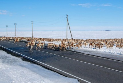 ����� �� ������ � �� �����, � ����������: ��������� ����� ��������� ���� ������������