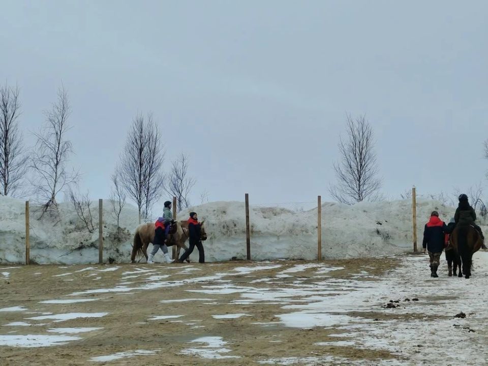 ������� � ��������� ������ ��������� ������� �� ����������� ��� ����� � ���, ��������� ������������, �������� �������� � ��������