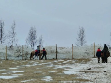 Сегодня в Салехарде прошло очередное занятие по иппотерапии для детей с ДЦП, задержкой психического, речевого развития и аутизмом