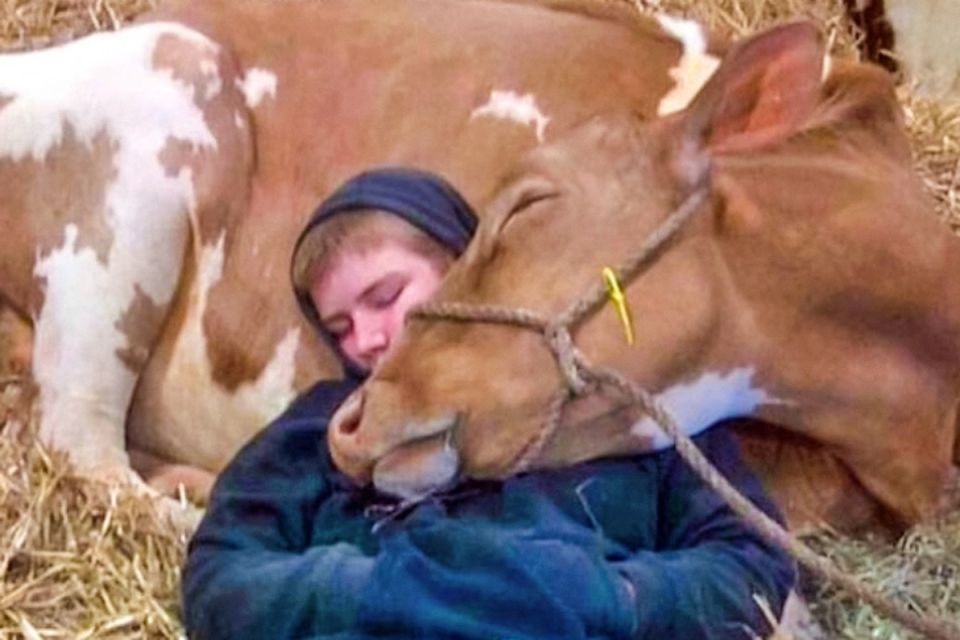 18 ������������ ����������, ������� ���������� ���������� � ������