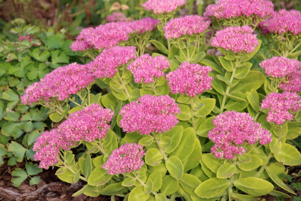 ����� �� ���� �������: 14 ����� ������ ������� ������� ��� ������ ����