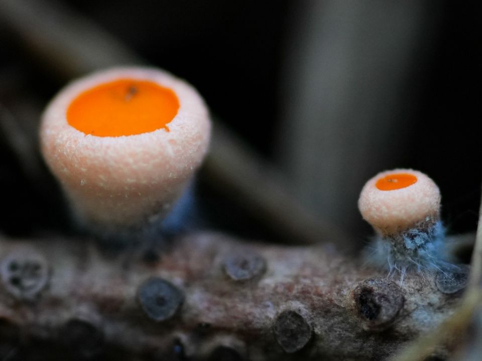 ����� ��������� ����� ������ ���� �� ������ ��������� �����