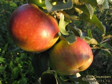 ������� ������ ������ � �������� ������: ��� ����� ����� � ����� �������� �������