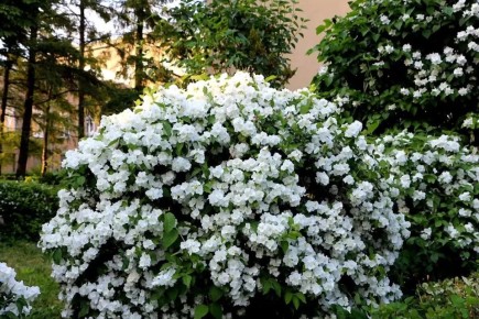 ��������� ������� ���������: ������� ������� ��������