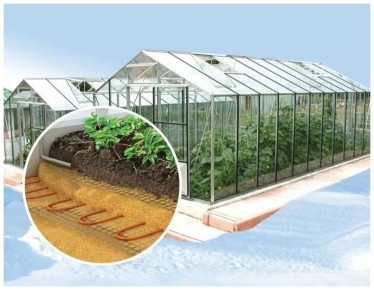 Ҹ���� ������ � �������: ��� ������� ��������� ������� ��� �������