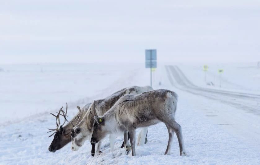 ��������� ��������� ������������ � ��������� ������ ������ �� ������