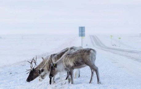 ��������� ��������� ������������ � ��������� ������ ������ �� ������