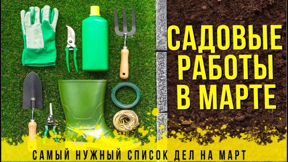 ���� ����� � ���� � ������� �� ����: ������ ������� ��� ���������� ��������