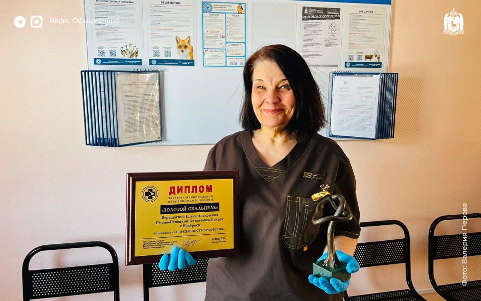 ���� �� ������ ����������� ������ �������� � ���������