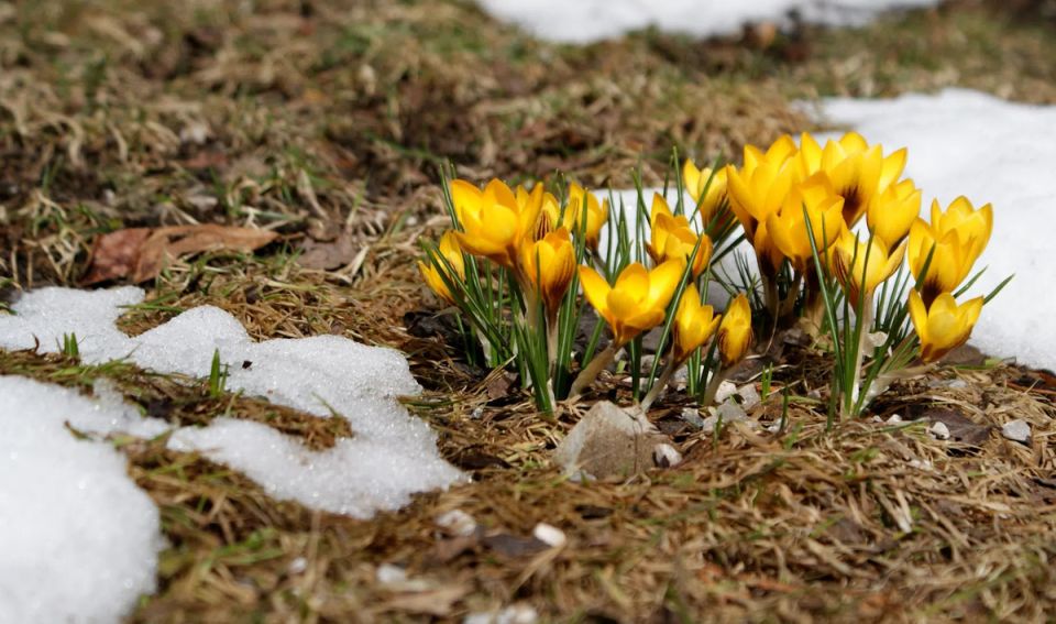 �������� ������: ��� ����� ������� �� ������� � ������