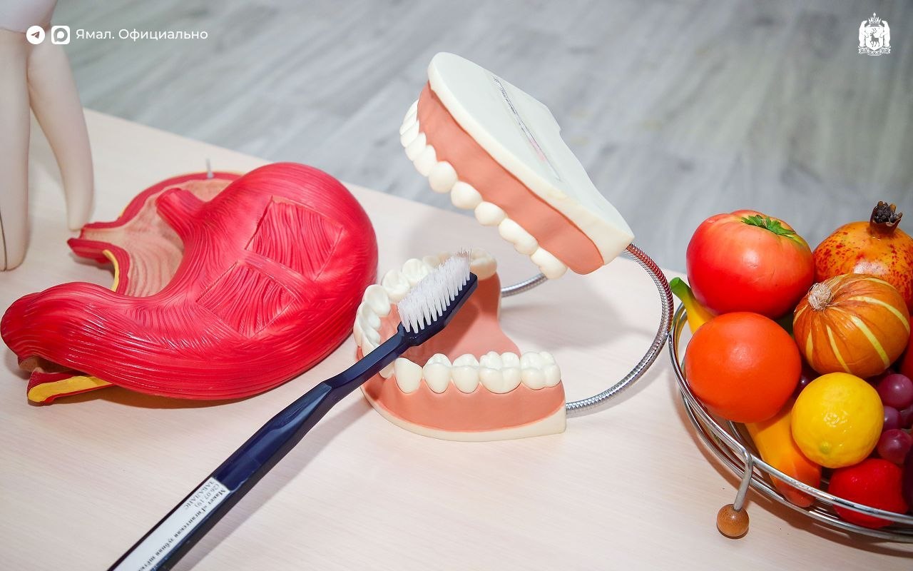 В Надыме открыли первый на Ямале музей арктического здоровья В Надыме открыли первый на Ямале музей арктического здоровья