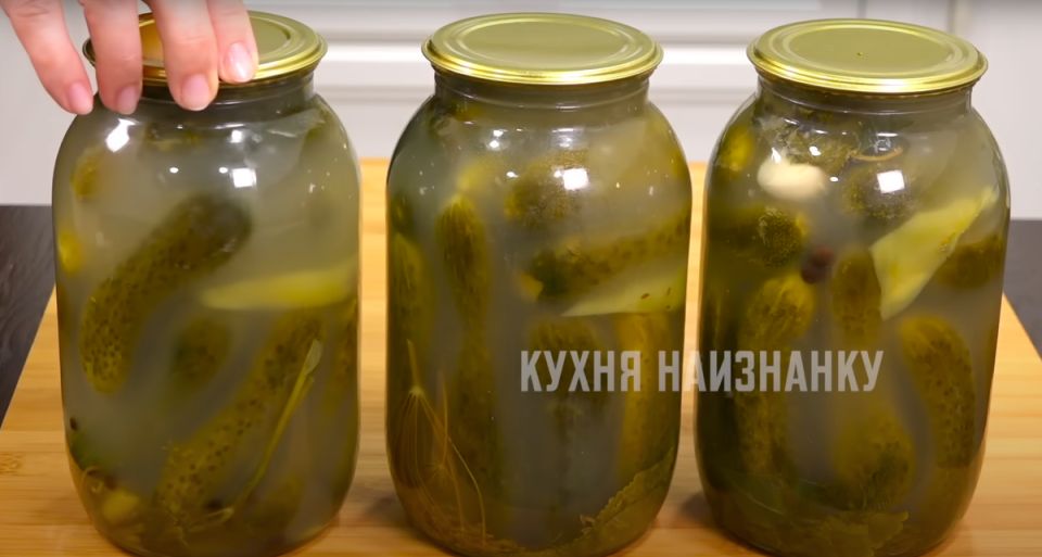 ������ ������ ������ ������ ���� ���������