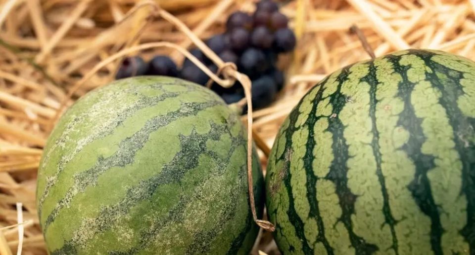 ����������� ������� � ���� � ������� ������: ���������� ��� �����?