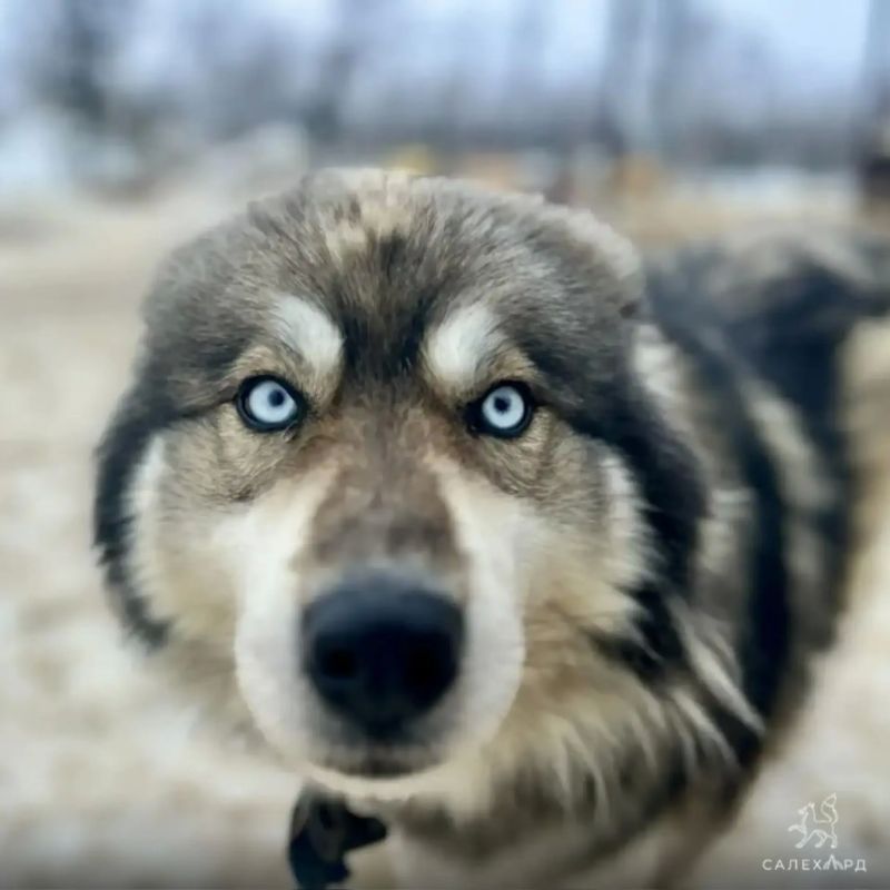 ��� ������� �� ��� ������. �� ���� ��� ������������ ������ �� ������ ��� �� ������ ������������ ����