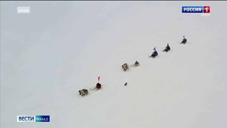 ���������� ���� ����� ����� � ����� ����������� �������� �������� �����