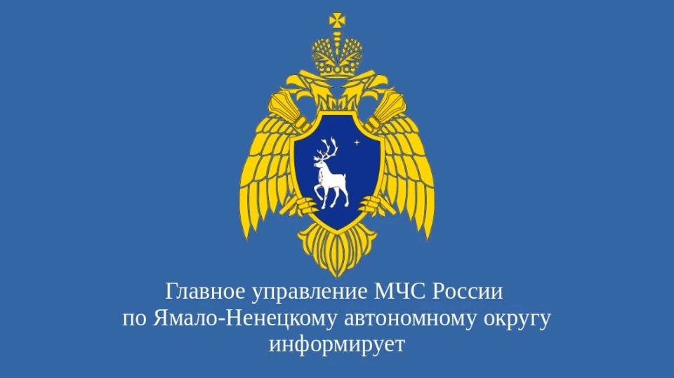 �� ������ ������� 2026 ���� �� ���������� �����-��������� ����������� ������ ���������������� 216 �������, 82 �� ������� � � ����� �������