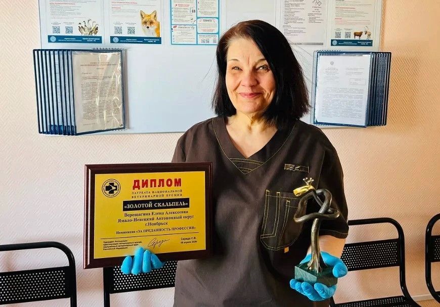 ��������� �� ��������� ����� ��������� ����� �� ����� ���������� ������ � ������