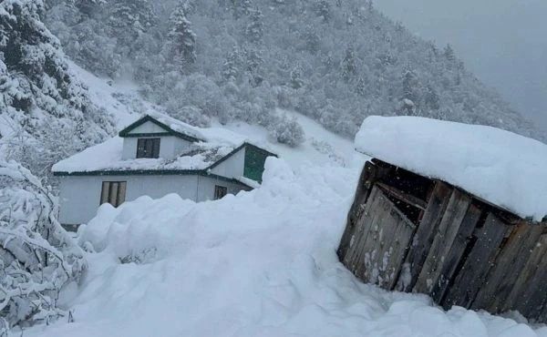 ���� �� �����: ��� ��������� �� �����, � ������ � ����