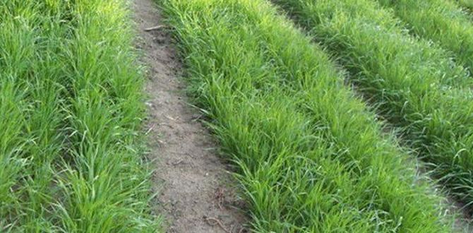 ��� ��������������� ����� ��� �����: 10 ������������� ��������