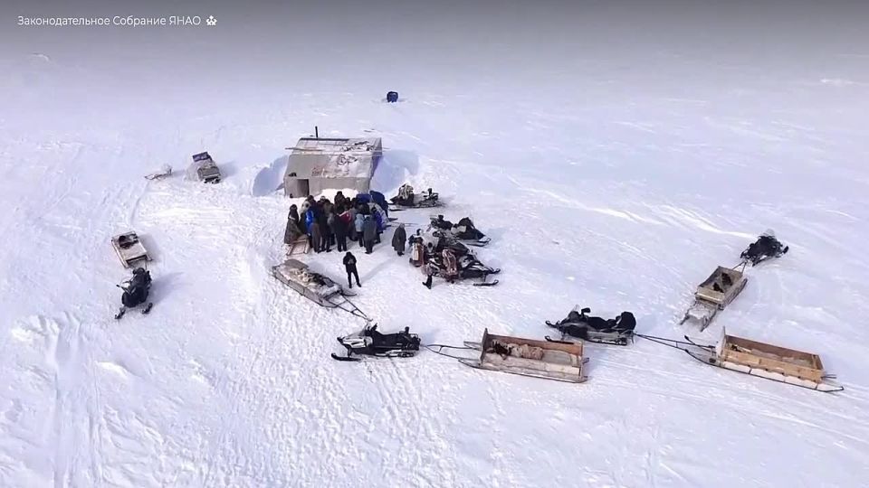 ���� ����������. ��������