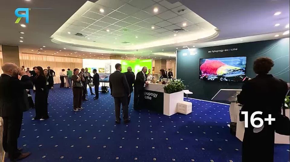 ��������� �������� �� �����-�����