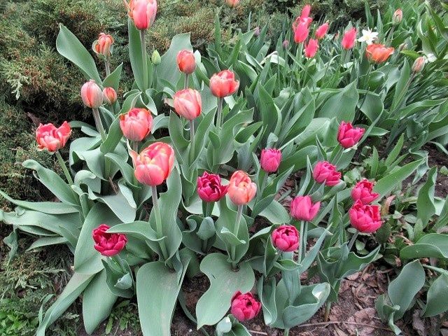 ������ � ����������� ���������: ��� �� ��������� �������